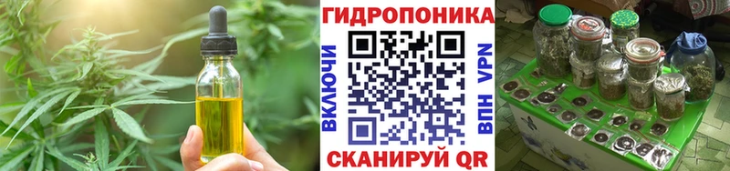 купить закладку  ОМГ ОМГ tor  Cannafood конопля  Навашино 