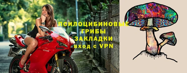 герыч Зерноград