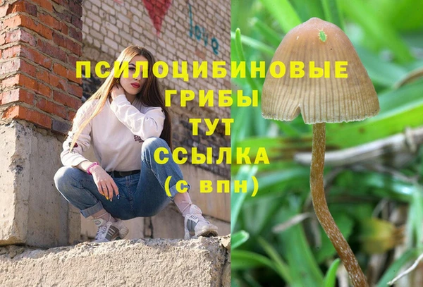 герыч Зерноград